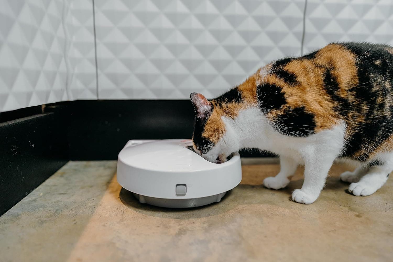 Cat Mate C500 Comedero Automático con Temporizador Digital para Gatos y Perros Pequeños — foto 3