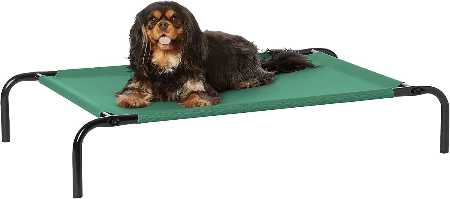 Amazon Basics Cama Elevada Refrescante para Perros, Tela Transpirable, Talla Medium — foto 2