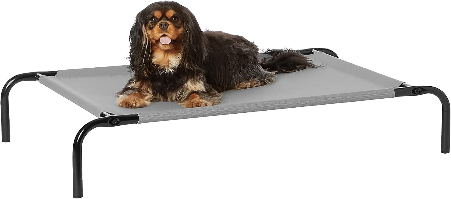 Amazon Basics Cama Elevada Refrescante para Perros, Tela Transpirable, Talla Medium — foto 3