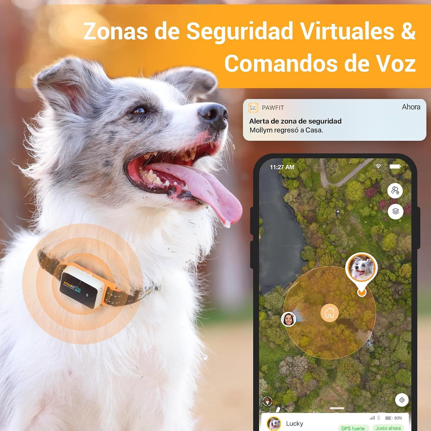 Pawfit 3 Rastreador GPS para Perros con Seguimiento en Vivo 4G, Alertas Inteligentes, Resistente al Agua — foto 4