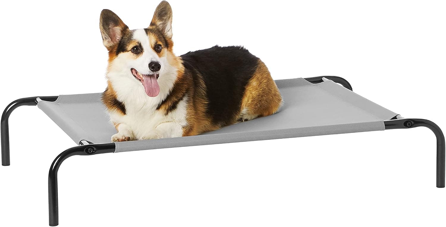 Amazon Basics Cama Elevada Refrescante para Perros, Tela Transpirable, Talla Medium