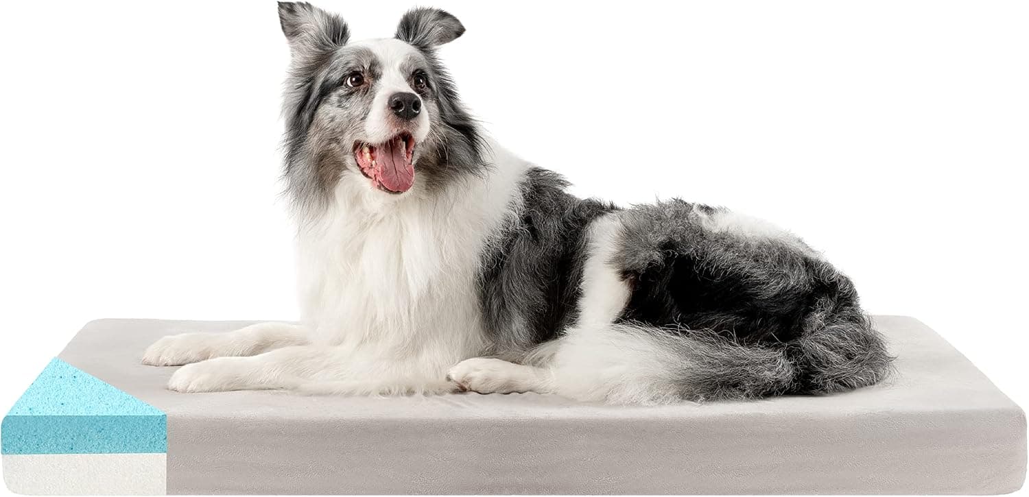 ZENAPOKI Cama para Perros Grande Ortopédica XL, Cojín de Espuma Viscoelástica, Funda Desenfundable e Impermeable, 110x70x9 cm